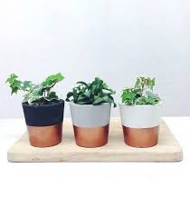 Small Plant Pots Bulk Small Flower Pots Wedding Favors Small Plant Pots Cheap 2 Pcs Antiqued Copper Plated Brass Filigr Cement Pots Copper Decor Copper Bedroom