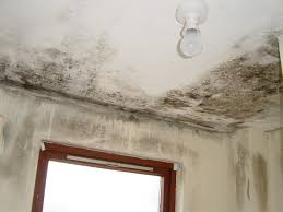Tip For Treating Wall Dampness Masala Tv Damp Proofing Walls Damp Proofing Damp Proofing Diy