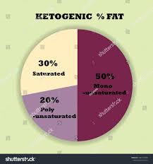 Percentage Chart Ketogenic Diet Stock Vector Royalty Free