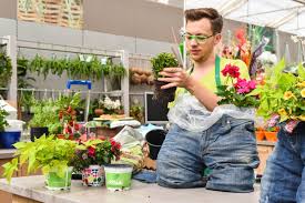 Schritt 6 Die Pflanzen In Die Erde Einsetzen Garten Deko Gartendeko Selbstgemacht Pflanzen