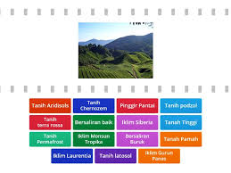 Telaah mengenai mekanisme fototropisme di mulai oleh percobaan yang dilakukan oleh charles darwin dan putranya francis. Geo Ting 3 Bab 3 Pengaruh Persekitaran Fizikal Terhadap Kepelbagaian Tumbuh Tumbuhan Semula Jadi Dan Hidupan Liar Cari Padanan