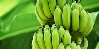 Makan dua pisang sebelum senaman berat adalah pembekal tenaga yang bagus dan mengekalkan gula dalam darah anda. 8 Manfaat Mengejutkan Dari Makan Pisang Mentah Merdeka Com