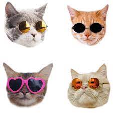 Cool Cats Sticker By Eliseccv White 3 X3 Cat Stickers Cat Art Print Cat Sticker Set
