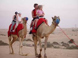 What should i wear for a camel ride in dubai? Overnight Desert Camping Adventure With Camel Ride Experience From Dubai Get Local Tour