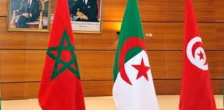 Le drapeau est confectionné avec un ourlet double piqûres rabattues au pourtour pour une meilleure solidité. Electricite L Algerie Et Le Maroc Approvisionneront La Tunisie Algerie360