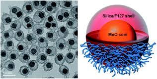Term contracts & credit cards/paypal accepted. Silica F127 Nanohybrid Encapsulated Manganese Oxide Nanoparticles For Optimized T1 Magnetic Resonance Relaxivity Nanoscale Rsc Publishing