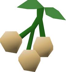 Poison Ivy Berries Old School Runescape Wiki Fandom