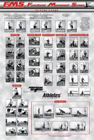 Functional Movement Screen In Line Lunge Functional Training Primal Movement Functional Training Workouts