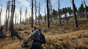 We have a few options for you! Hire A Pubg Coach Rise To The Top Taste Your Chicken Dinner