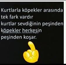 Pin By F Z On Tam Olmus Cool Words Turkish Quotes Meaningful Words