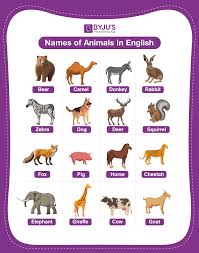 Cómo Te Llamas? En Inglés - Youtube