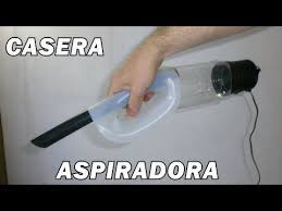 pin en perros