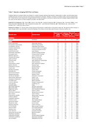 Image result for Lettowianthus stellatus