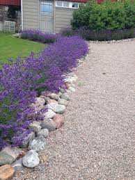 Pin On Backyard Landscaping Ideas