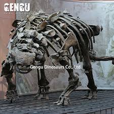 Maybe you would like to learn more about one of these? Dinosaur Fossil Sale Real Dinosaur Fossils For Sale Buy Real Dinosaur Fossils For Sale Dinosaur Fossil Sale Real Dinosaur Fossil Product On Alibaba Com