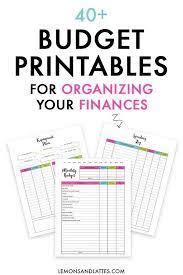2021 Budget Binder Printables Budget Printables Budget Binder Budgeting