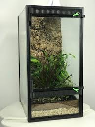 Frogcube Convert Your Aquarium Into A Terrarium Aquarium Gecko Habitat Terrarium