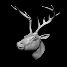 Condition options for whitetail deer head mounts. 3d Deer Head Base Mesh Model Turbosquid 1677724