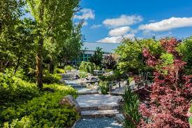 Leyks Lotos Garten Patio Garden Rothenburg Ob Der Tauber 2 Reviews 111 Photos Facebook