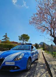 Trend Google: campobasso