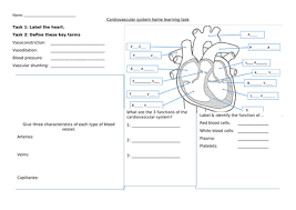Image result for Cardiovascular Worksheets