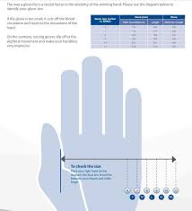 Rolock Drygloves W Liners