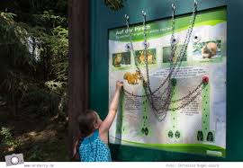 Winterberg Im Sommer Ausflugsziel Erlebnisberg Kappe Mrsberry Kreativ Studio In 2020 Ausflug Winterberg Ausflug Nrw