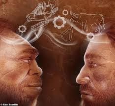 Neanderthals and Homo sapiens organized living spaces similarly