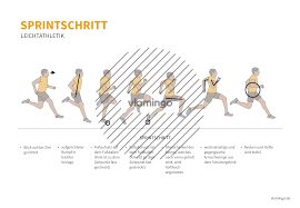 Ment of velocity in 100m races by 22 elite and 22 juvenile women sprinters. Sprinten Technik Phasen Bewegungsbeschreibung Im Uberblick