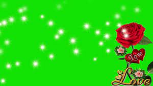 Flowers Green Screen Video Effects Star Video Effect Green Screen Video Effect Greenscreen Video Effects