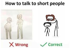 A 2koma meme derived from a short comic about trying to resolve height problems when talking to people shorter than them through amusing methods. How To Talk To Short People Samonellaacademy