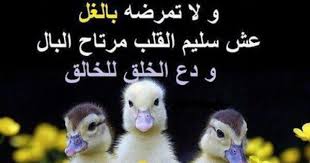 دع الخلق للخالق Animals Fish Pet Photo