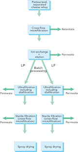 whey processing dairy processing handbook