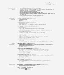 Flash banners and e tags for online promotions and campaigns. Film Director Resume Objective