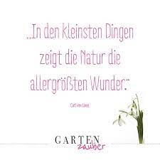 Ein lächelndes kinderauge, ein schönes gesicht, eine blume in einem stillen garten, ein baum, der das gold der sonne trägt, eine wohlgeformte vase, eine perlenkette. Pin Auf Gartenspruche Zitate