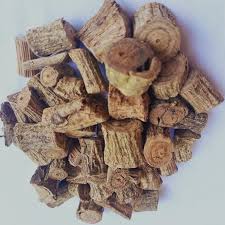 Image result for Tragia glabrata