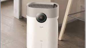 Your books, furniture and walls last longer and those hidden spots do not attract mold, mildew or even dust mites. 10 Best Dehumidifiers In Malaysia Best Of Home 2021