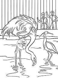 Puss in a boot animal coloring pages e14493907186164e66. Free Printable Zoo Animal Coloring Pages Novocom Top