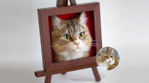 Japon Sanatcidan Cok Gercekci Ve Sevimli 3 Boyutlu Kedi Portreleri Galeri Log
