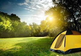 We have 81 large grassy sites nestled under tall trees along the grand river. Grand Haven Campground 2 Photos 1 Reviews Grand Haven Mi