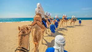 Meeting point in captain's cove restaurant km 16.5 hotel zone at 8:00am, 10:00 a.m., & 1:30 p.m. Outback Camel Safari My Experience Tours