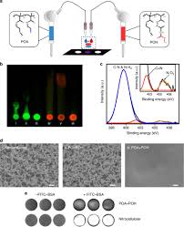 Cas confirmés, mortalité, guérisons, toutes les statistiques A Printable Hydrogel Microarray For Drug Screening Avoids False Positives Associated With Promiscuous Aggregating Inhibitors Nature Communications