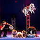 Chris Perondi's Stunt Dog Experience event image