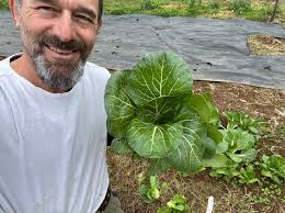 Making kimchi with daikon radish and turnips