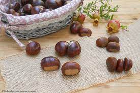 Timoyhy castagne has made 15 appearances for belgium. Castagne E Marroni Differenze E Caratteristiche Una Mamma In Cucina