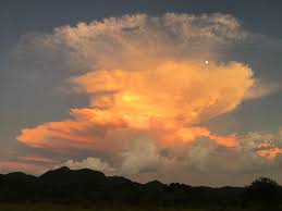 You can use our images for unlimited commercial purpose without asking permission. Nature S Best Poetry Of 2019 Clouds The New York Times