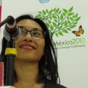 Conservationists Endorse Plan to Fold Mangroves into REDD+ Talks