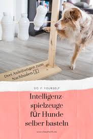 Intelligenzspielzeuge Selber Machen Tolle Tipps Zum Nachmachen In 2020 Intelligenzspielzeug Hund Hund Beschaftigen Hunde