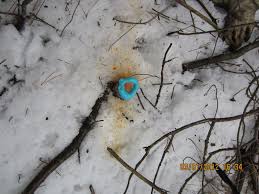 Jan 09, 2021 · winter is hard on plants. How To Kill Weeds In Winter Green Shoots News