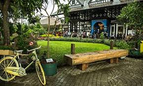 Selain bisa mendatangkan udara segar di sekitar rumah, melihat dedaunan hijau juga baik untuk mata yang setiap hari memandang monitor komputer. 25 Tempat Wisata Perpisahan Sekolah Di Bandung Yang Seru Tempatwisataunik Com